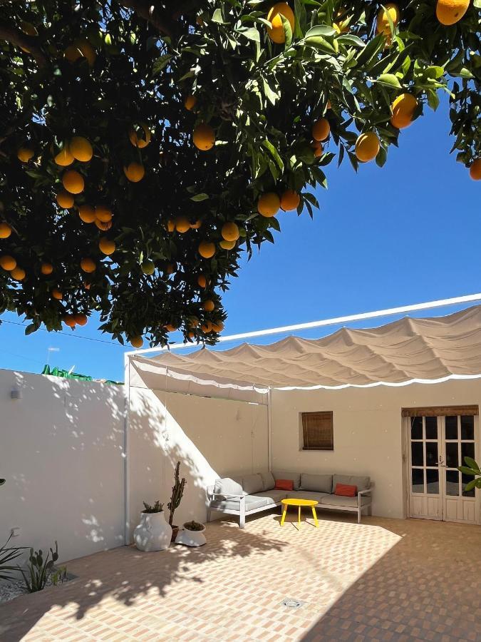 Design & Art, Patio With Orange Tree, Near Seville Carrion de Los Cespedes Zewnętrze zdjęcie