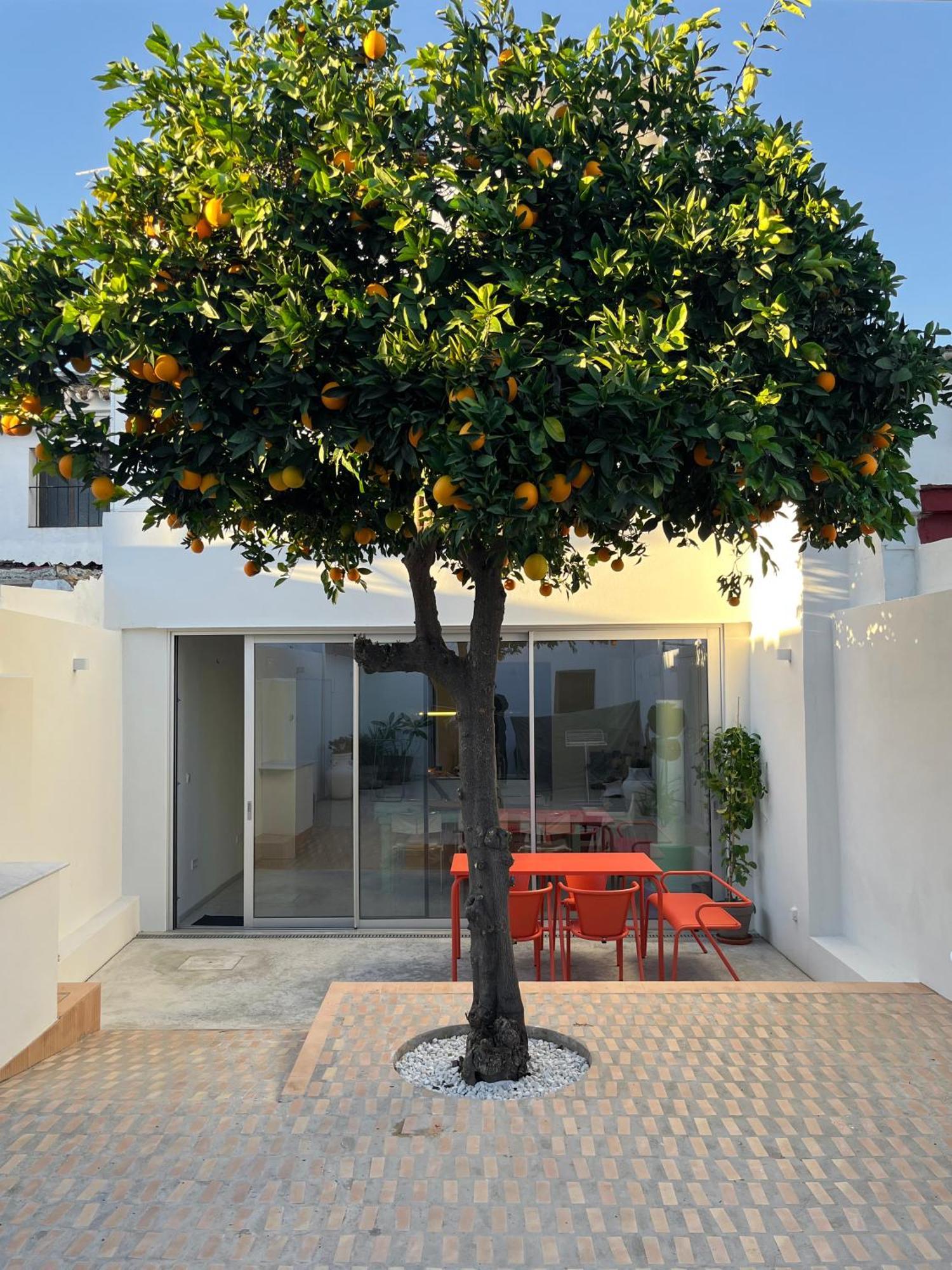 Design & Art, Patio With Orange Tree, Near Seville Carrion de Los Cespedes Zewnętrze zdjęcie