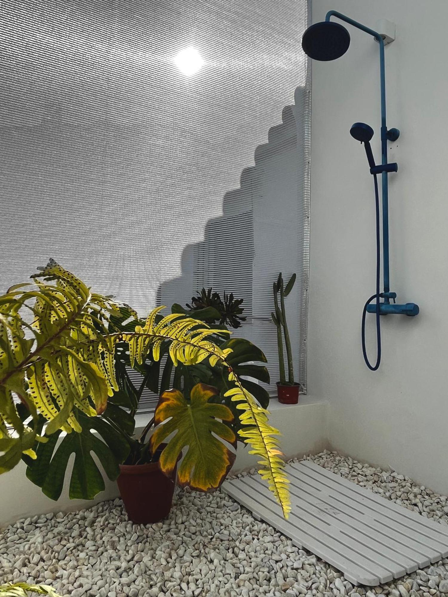 Design & Art, Patio With Orange Tree, Near Seville Carrion de Los Cespedes Zewnętrze zdjęcie